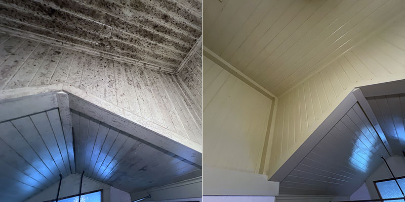 Cairns Mould Cleaning