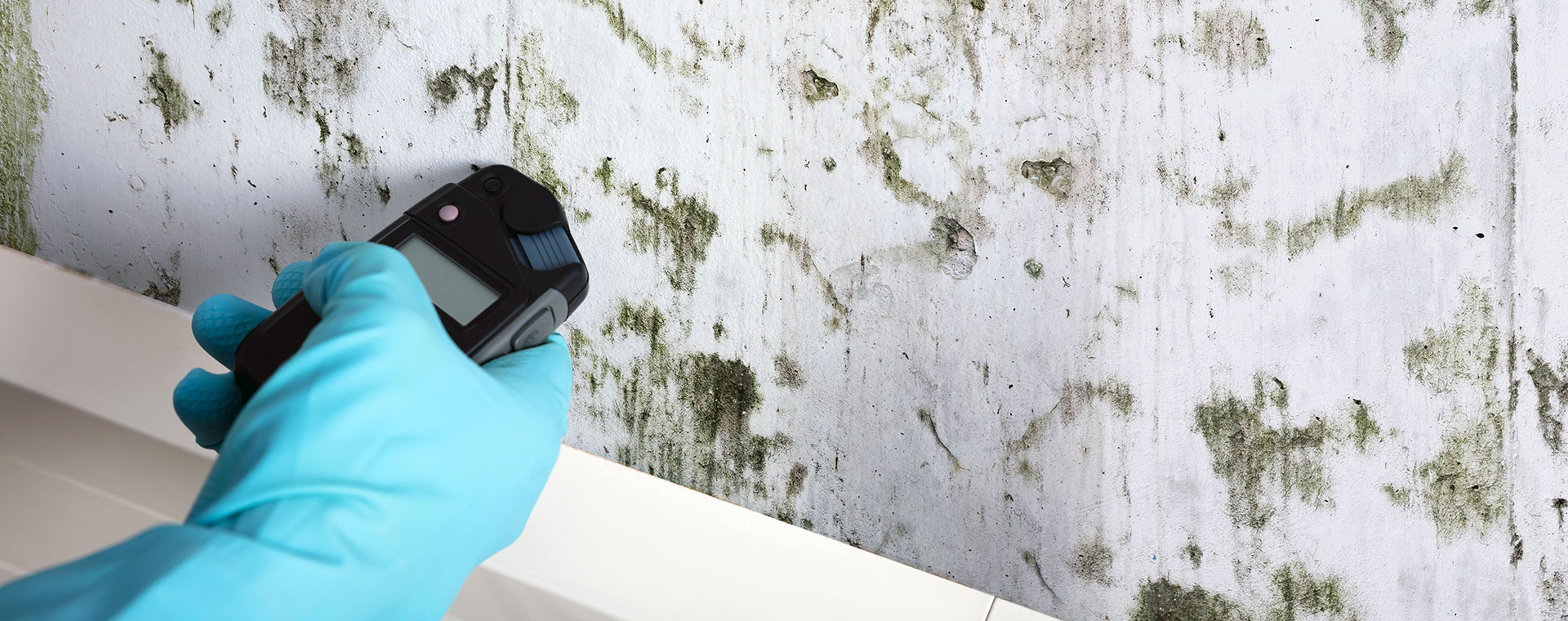 Protect Your Property