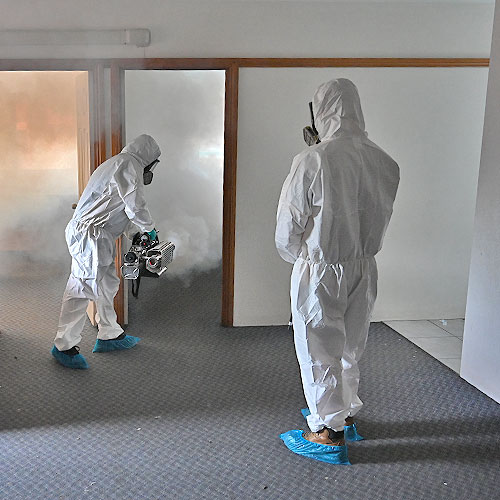 Cairns Mould Cleaning